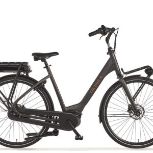 Cortina E-Common Family DB7 Bosch ActiveLine Plus MM Dames