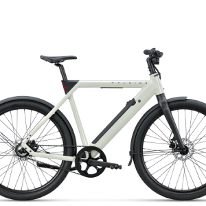 Raleigh ONE